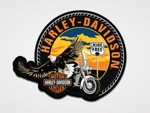 Patch "Globetrotter" SYA-8015626