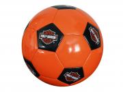 HD Fußball DW-66432