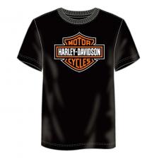 T-Shirt "Rosenheim - Significant B&S" FA5L33-HG4FR