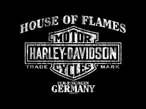 T-Shirt "Bar & Shield Oxford Grey - Ulm"_1