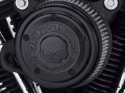 WILLIE G SKULL COLLECTION ENGINE TRIM - BLACK - AIR CLEANER TRIM 29400366