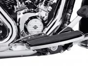 FAHRERTRITTBRETT-FERSENSCHUTZ 50500225