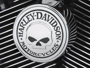 WILLIE G SKULL COLLECTION HORN COVER 61300622