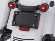 CURVED LICENSE PLATE FRAME WITH LED LIGHTING* 67900273