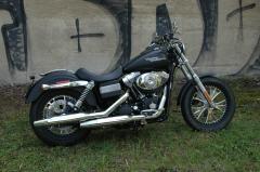 Gallery / Dyna Street Bob Irmi