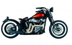 Gallery /  FLSTSB Softail Cross Bones Umbau "Les Paul"
