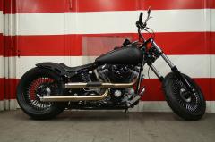 Gallery / Hell Raiser- 300er Rocker Umbau