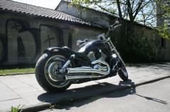 Gallery / V-Rod "Peter´s  V-Rod Umbau"