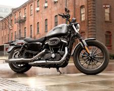 Gallery / Harley-Davidson® Iron 883™ 2015