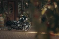 Gallery / Harley-Davidson® Softail FLSB Sport Glide™ 2025