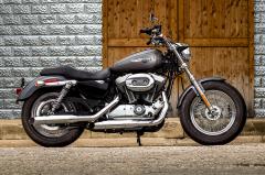 Gallery / Harley-Davidson® Sportster XL1200C Custom 2016
