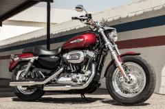 Gallery / Harley-Davidson® Sportster XL1200C Custom 2017