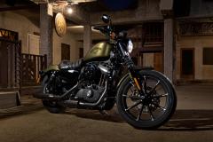Gallery / Harley-Davidson® Sportster XL883N Iron 2017