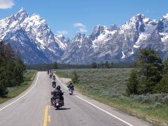 Gallery / USA Tour - Rocky Mountain Wildlife
